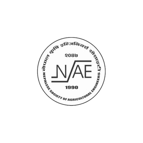 NSAE